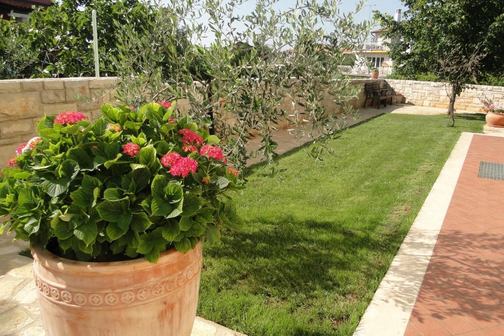 Apartments Villa Ela Umag Luaran gambar